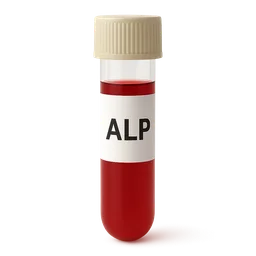 Low Alkaline Phosphatase (ALP)