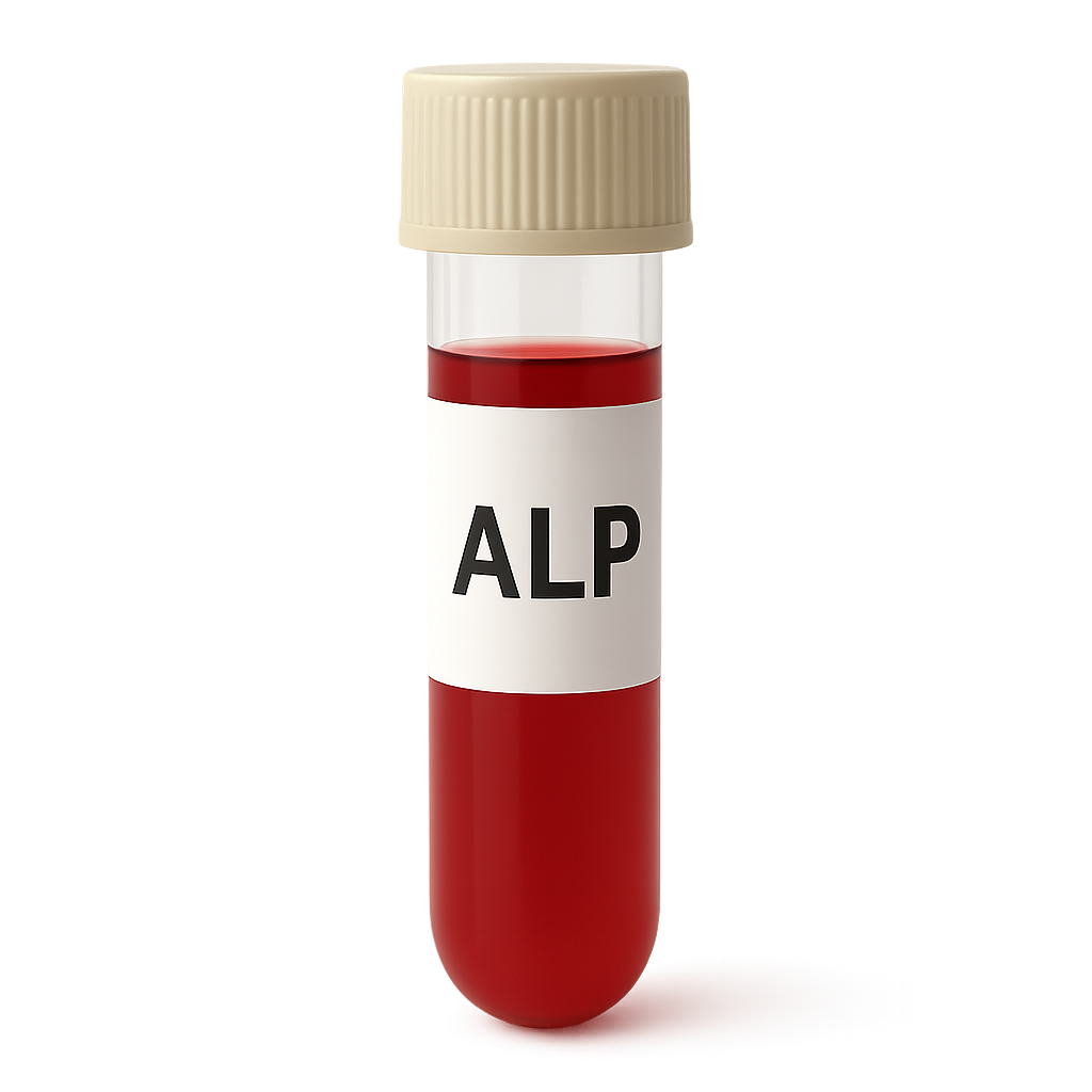 Low Alkaline Phosphatase