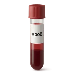 High Apolipoprotein B