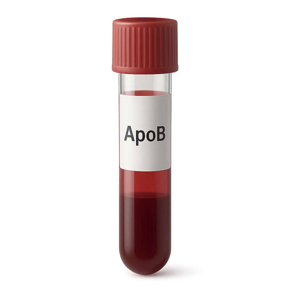 High Apolipoprotein B