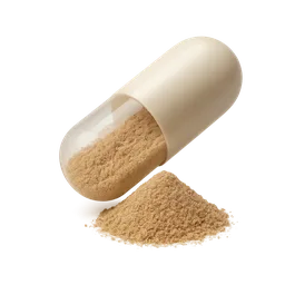 Food Matrix Effect on Absorption