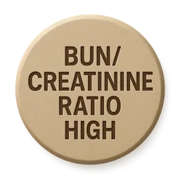 BUN/Creatinine Ratio High