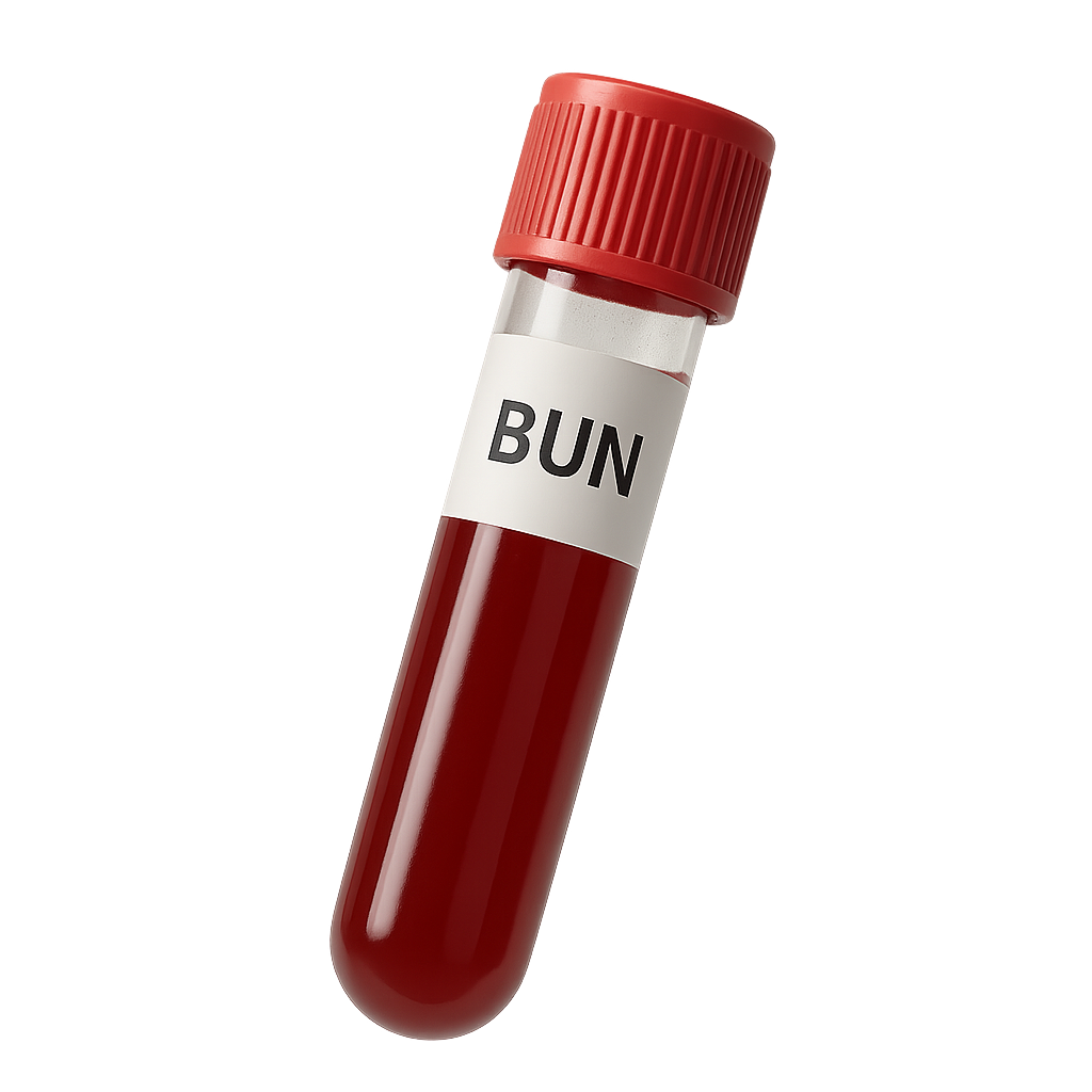 High BUN (Elevated Blood Urea Nitrogen)