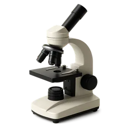 Chronobiology