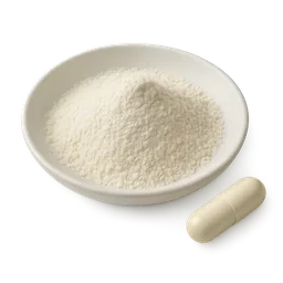 Creatine Loading