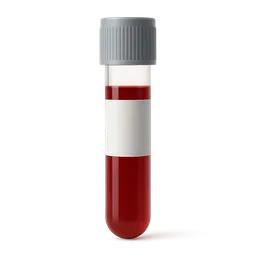 Normal Creatinine Levels