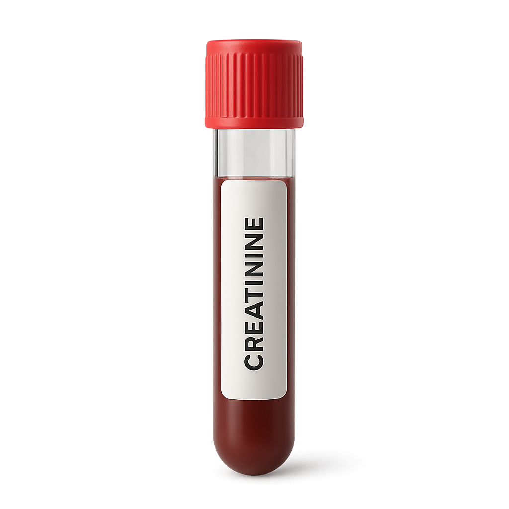 Normal Creatinine Levels