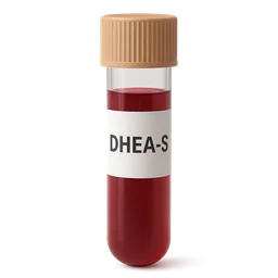 DHEA-S