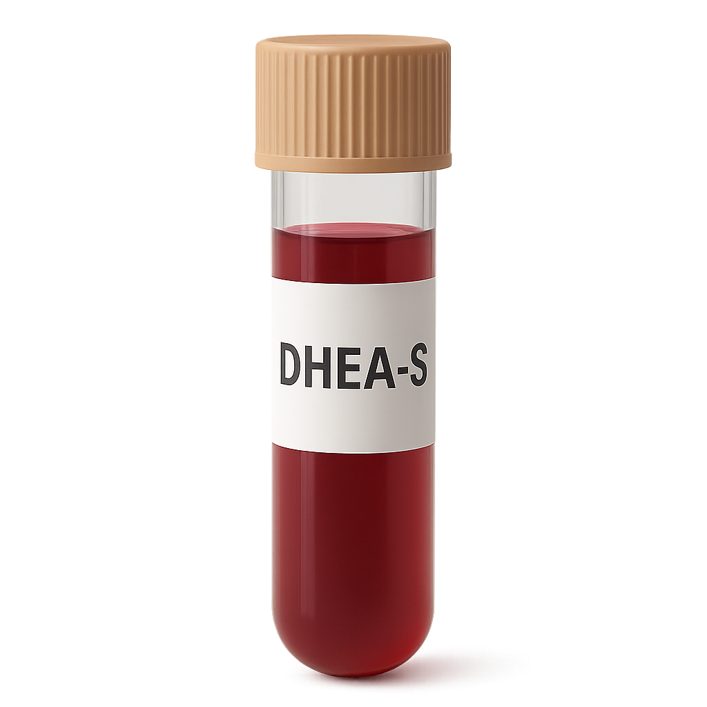 DHEA-S