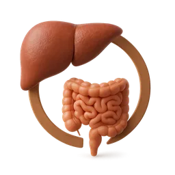 Enterohepatic Recirculation