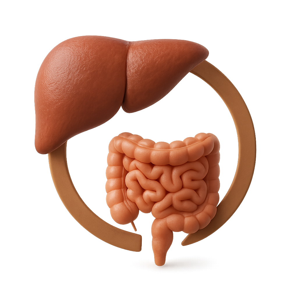 Enterohepatic Recirculation