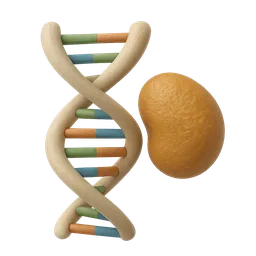 Epigenetic Modification
