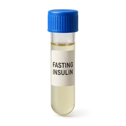 Fasting Insulin