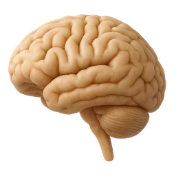 Gut-Brain Axis