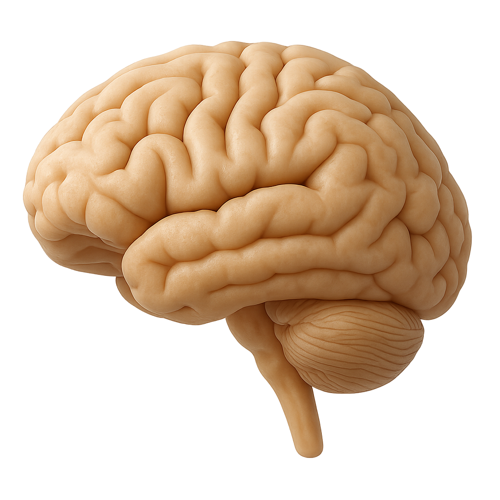 Gut-Brain Axis