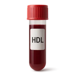 HDL Functionality vs. HDL-C