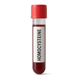 Homocysteine