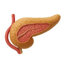 Insulin Resistance