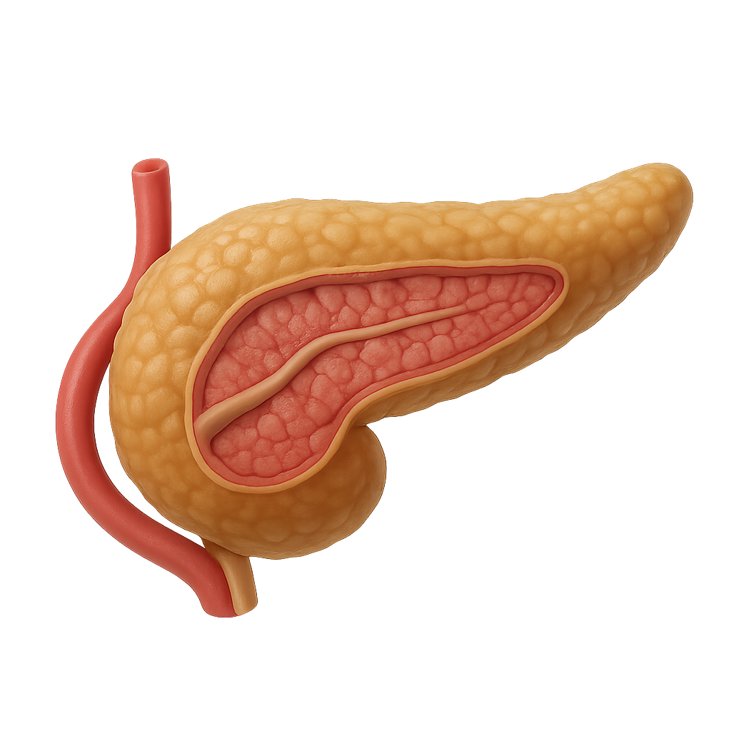 Insulin Resistance