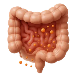 Increased Intestinal Permeability ('Leaky Gut')