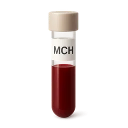 High MCH (Mean Corpuscular Hemoglobin)