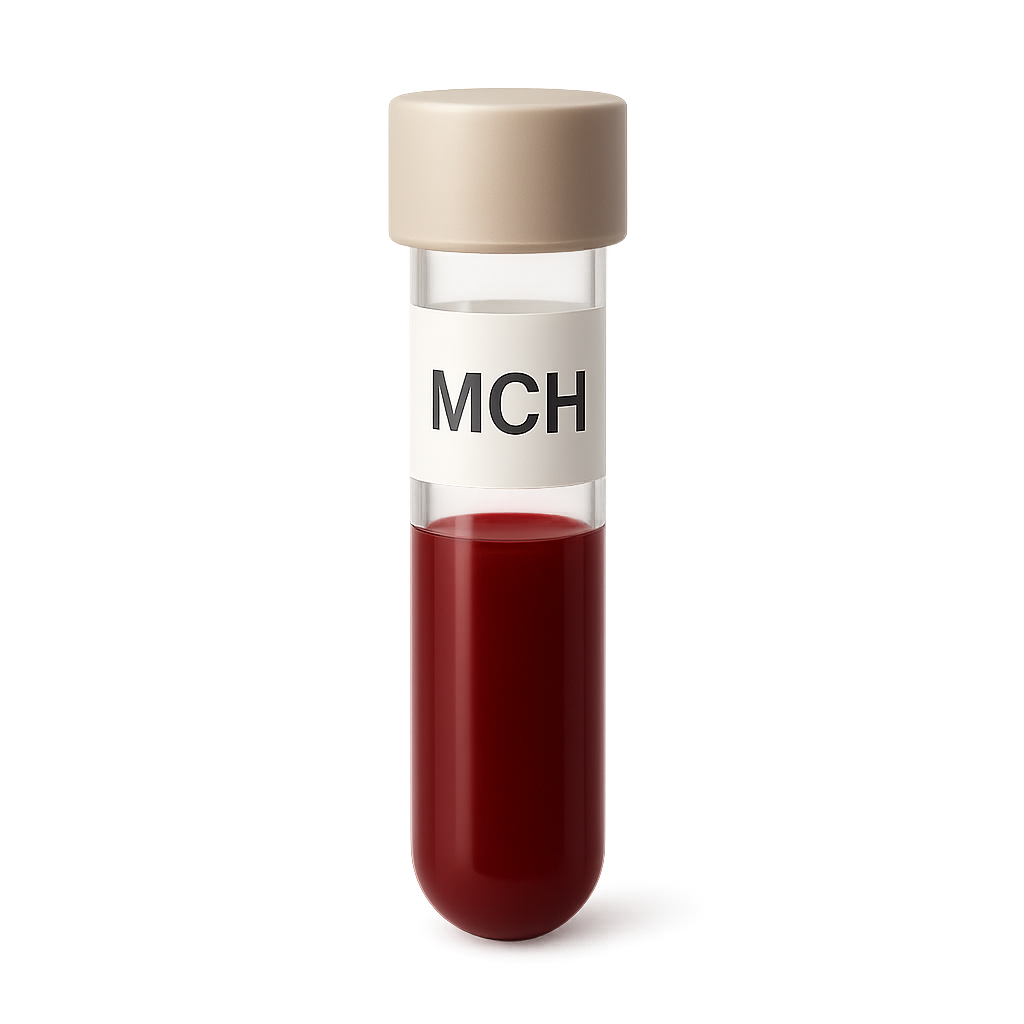 High MCH (Mean Corpuscular Hemoglobin)
