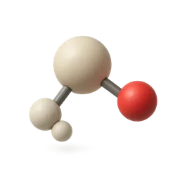 One-Carbon / Methylation Cycle