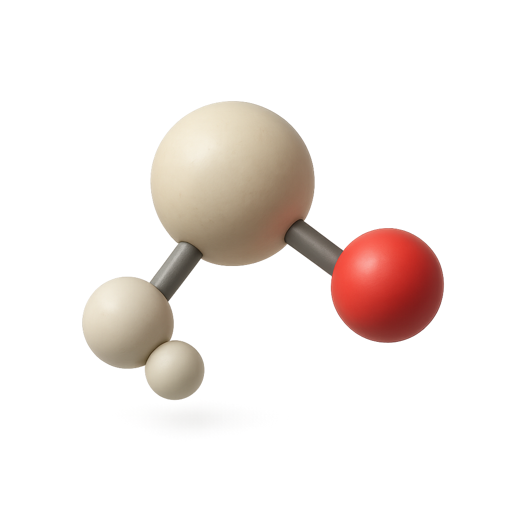 One-Carbon / Methylation Cycle