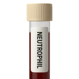 Normal Neutrophil Range