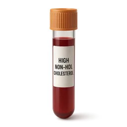 High Non-HDL Cholesterol