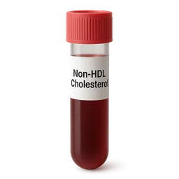 Non-HDL Cholesterol