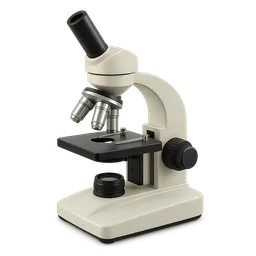 Nutrigenomics