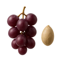 Resveratrol Bioavailability