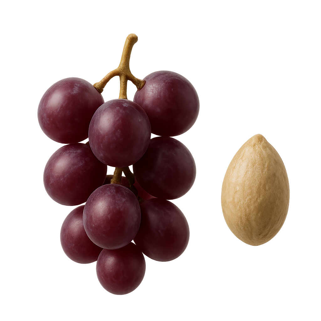 Resveratrol Bioavailability