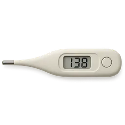Resting Metabolic Rate (RMR)