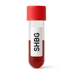 SHBG (Sex Hormone-Binding Globulin)