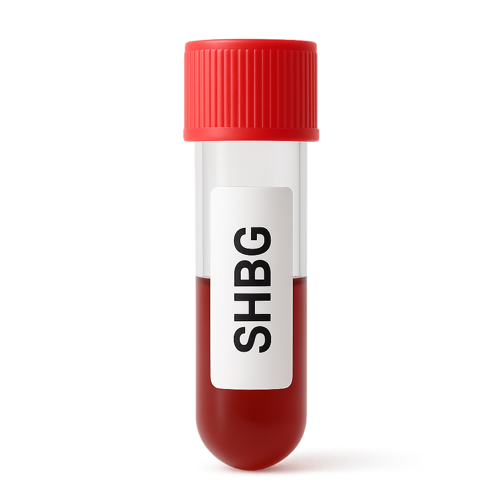 SHBG (Sex Hormone-Binding Globulin)