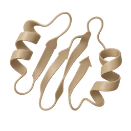 Sirtuins