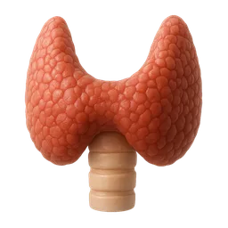 Subclinical Hypothyroidism
