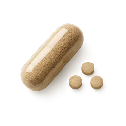 Synbiotic