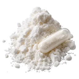 Acetyl L-Carnitine