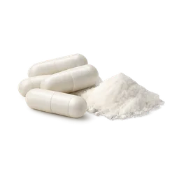Acetyl L-Carnitine