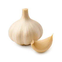 Aged Garlic Extract