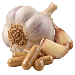 Aged Garlic Extract