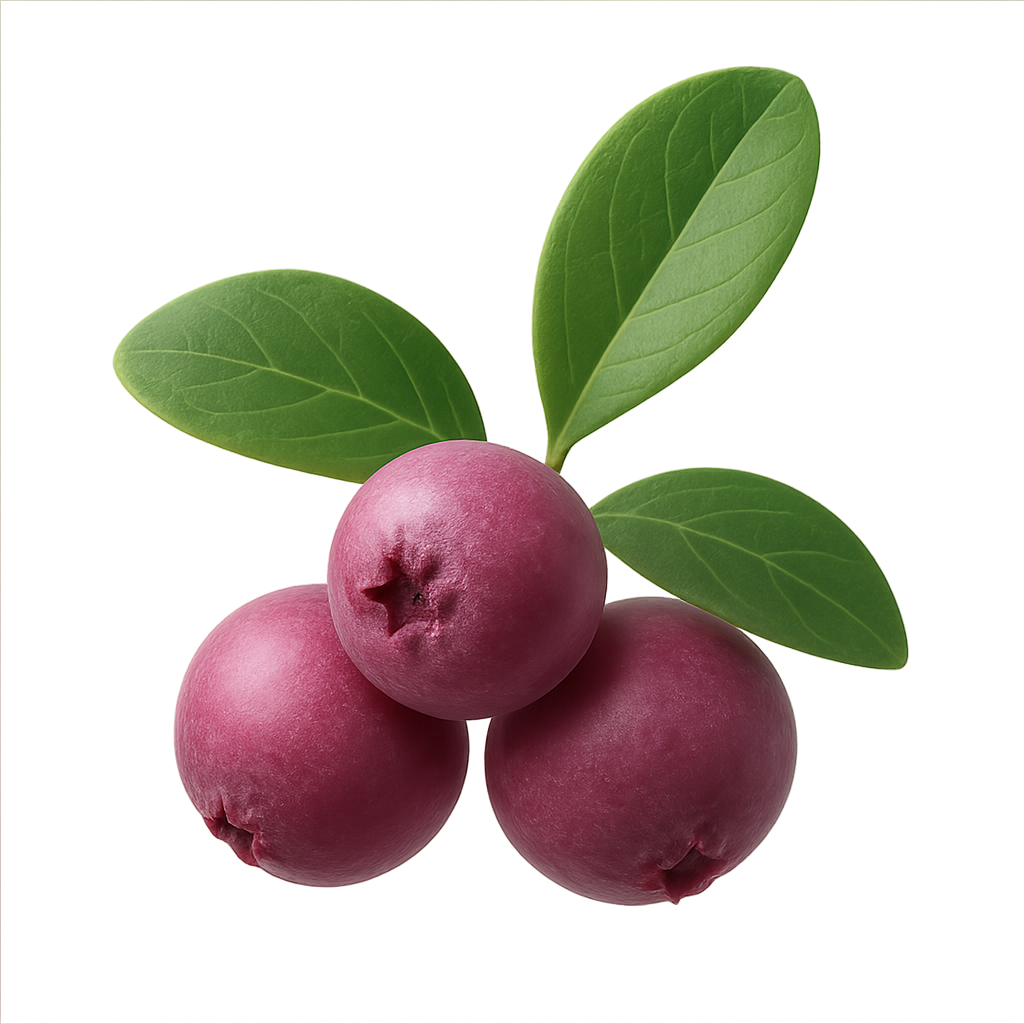Anthocyanidins