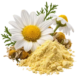 Apigenin vs German Chamomile Extract for Calming and Sleep