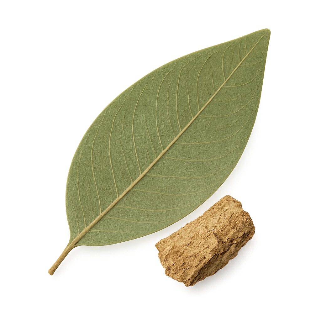 Apocynum venetum