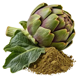 Artichoke