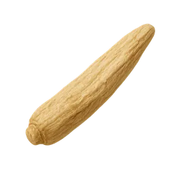 Astragalus