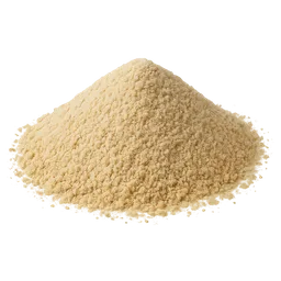 Bacillus Subtilis